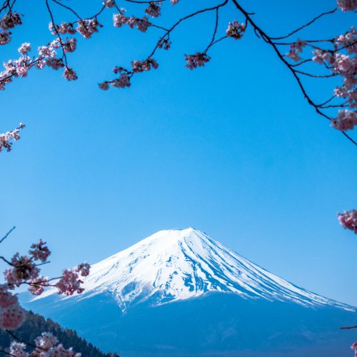 JEPANG B (8D6N)