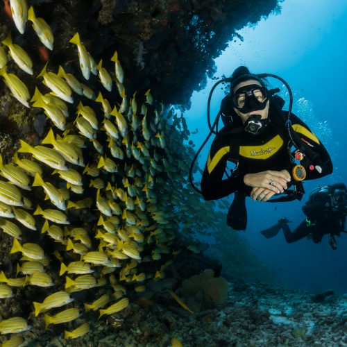 SNORKELING LOMBOK (3D2N)